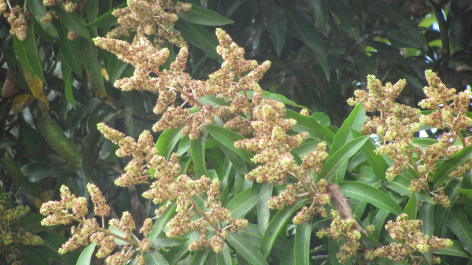 photo 76835