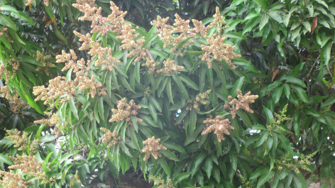 photo 76836