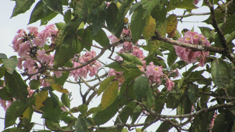photo 76837