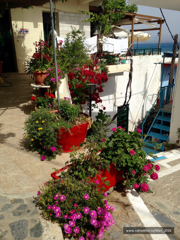 photo 1314445