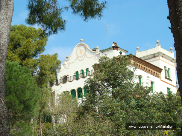 photo 67383