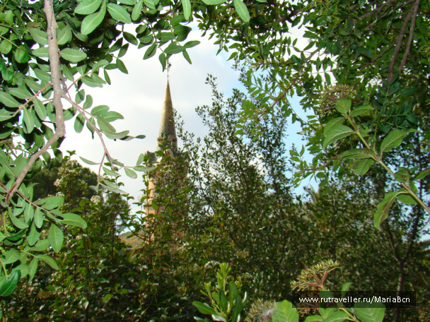 photo 67385