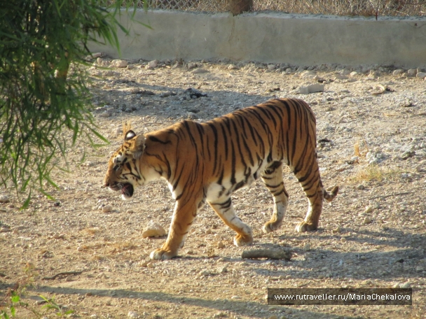 photo 847199
