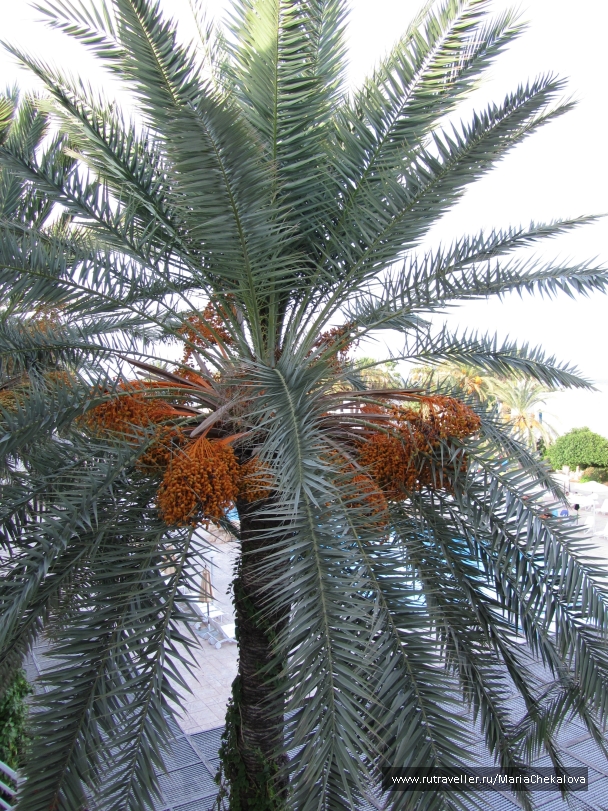 photo 847215