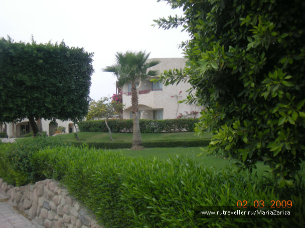 photo 336772