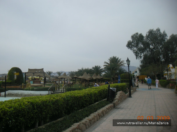 photo 336778