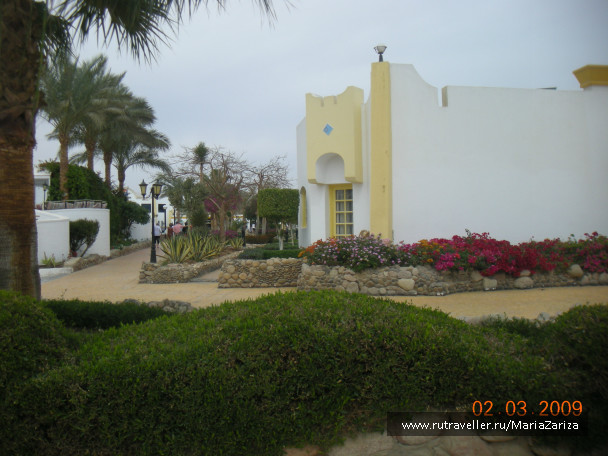 photo 336781