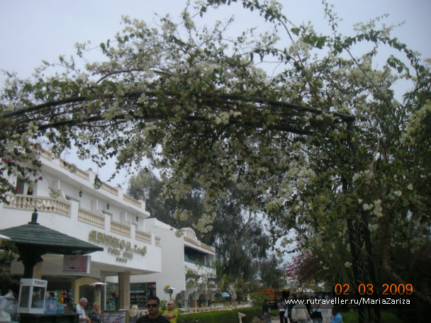 photo 336793