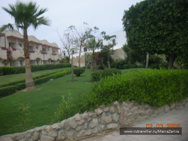 photo 336795