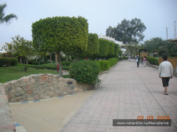 photo 336797