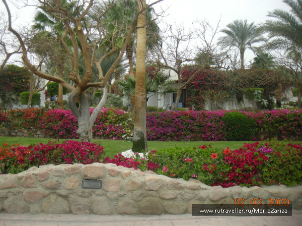 photo 336813