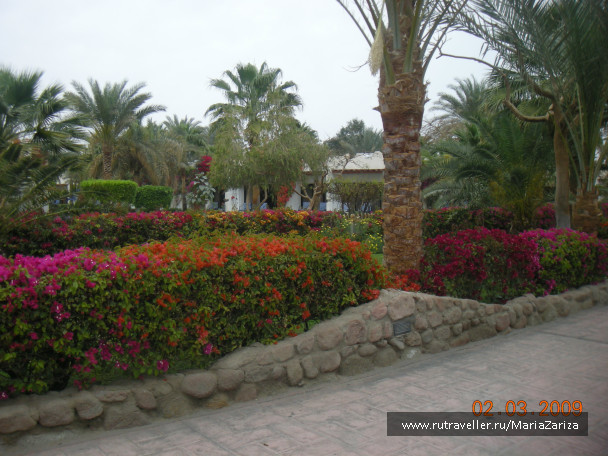 photo 336817