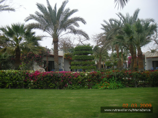 photo 337042