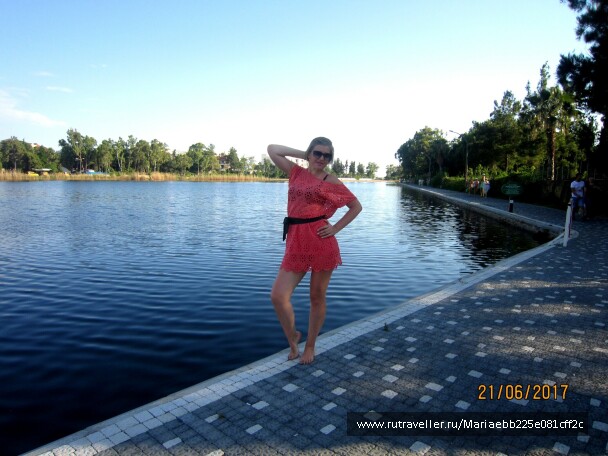 photo 1499253