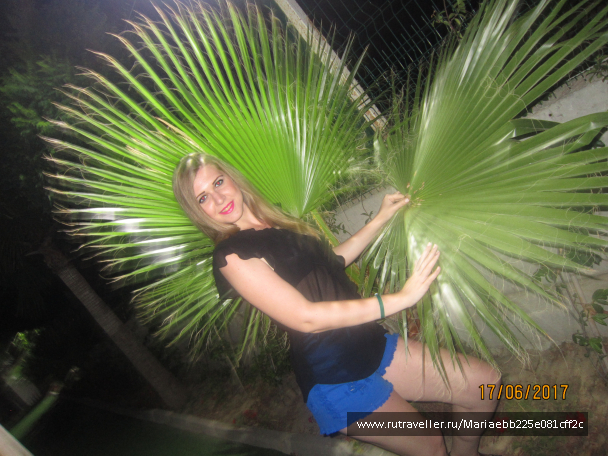 photo 1499286