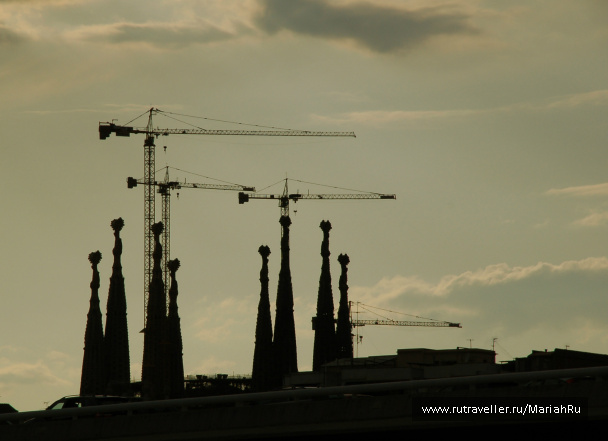 photo 321872