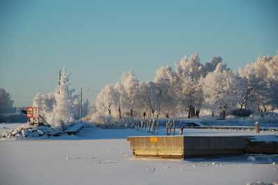 photo 321870
