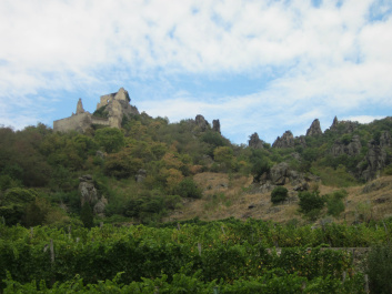 photo 427692