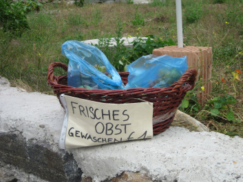 photo 427693