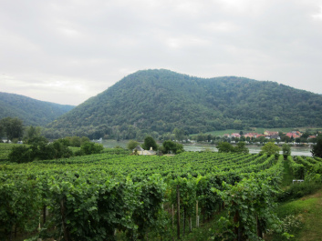photo 427726