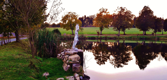 photo 1394154