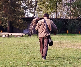 photo 1394157