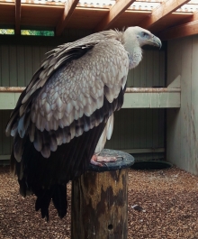 photo 1394158