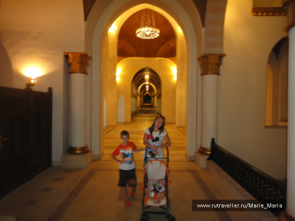 photo 156874