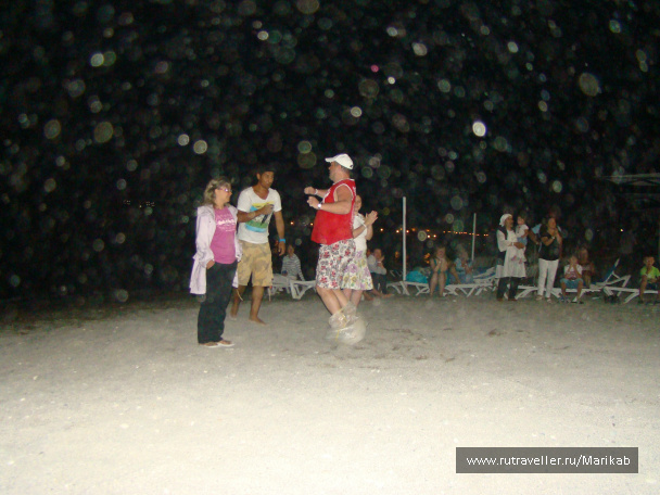 photo 408361