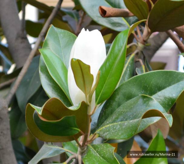 photo 407267