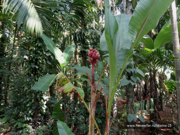 photo 422512
