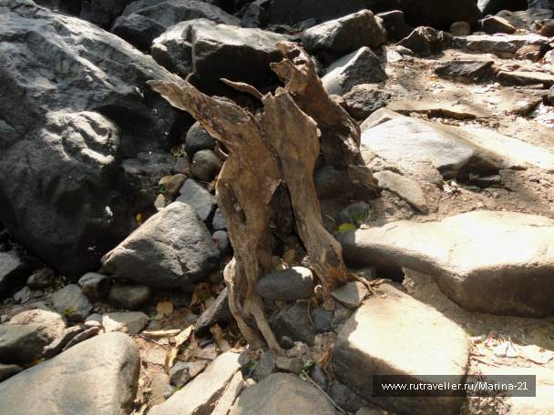 photo 422516