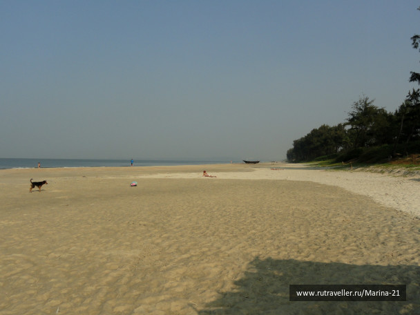 photo 422534
