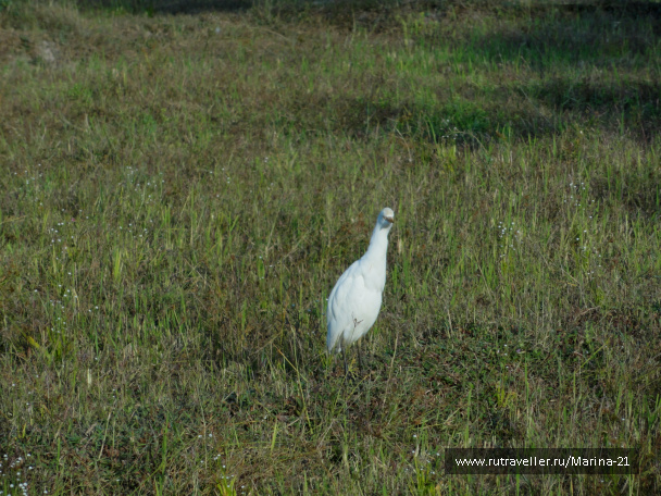 photo 422541