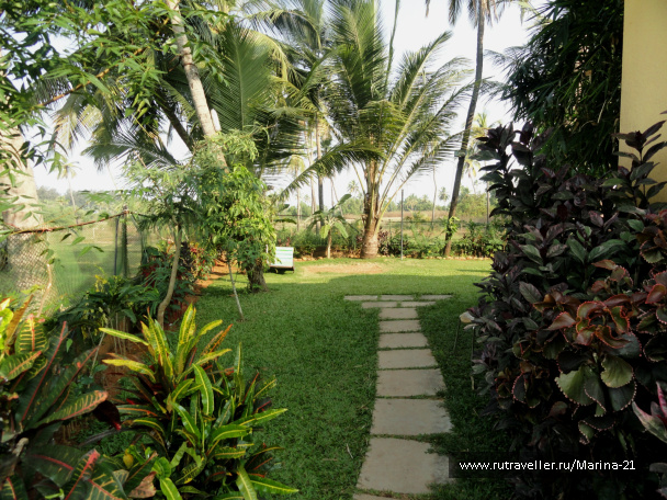 photo 422543