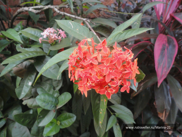 photo 422551