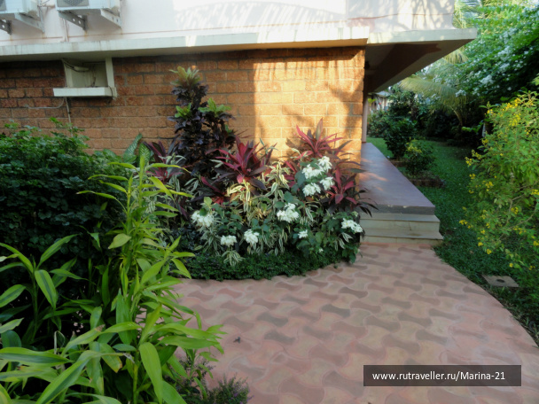 photo 422553