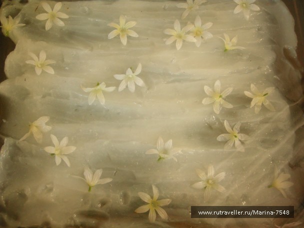 photo 793519