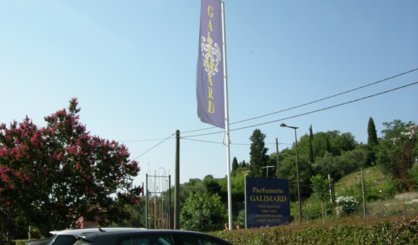 DSCN9619