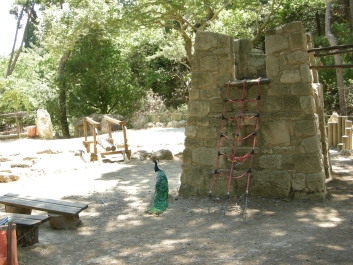 photo 800155