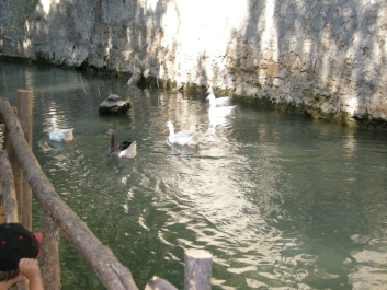 photo 800162