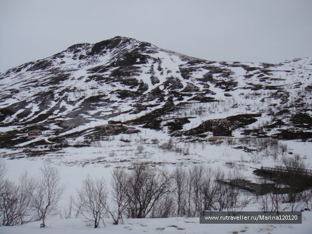 photo 383457