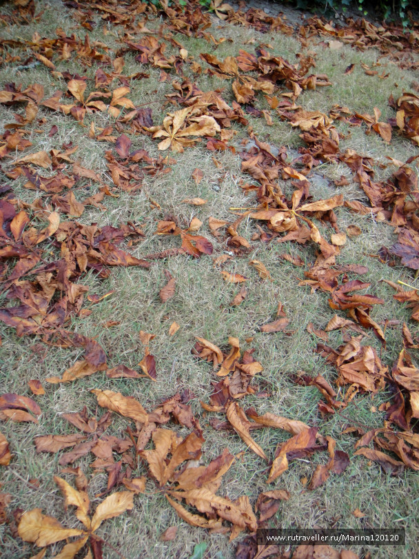photo 392525