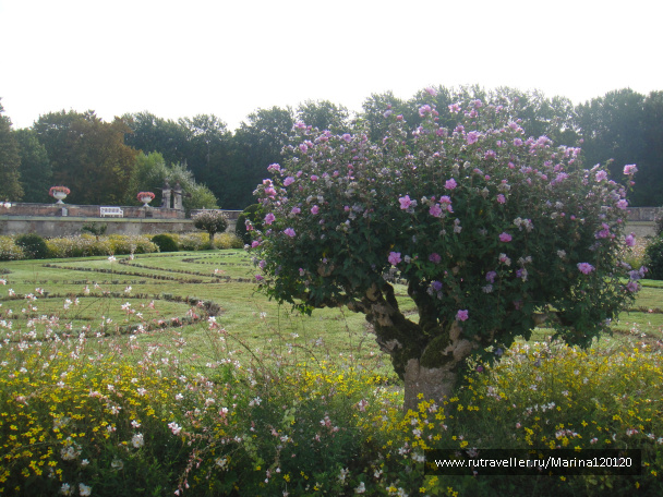 photo 392540