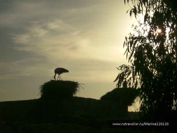 photo 512264