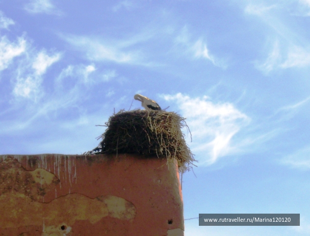 photo 512265