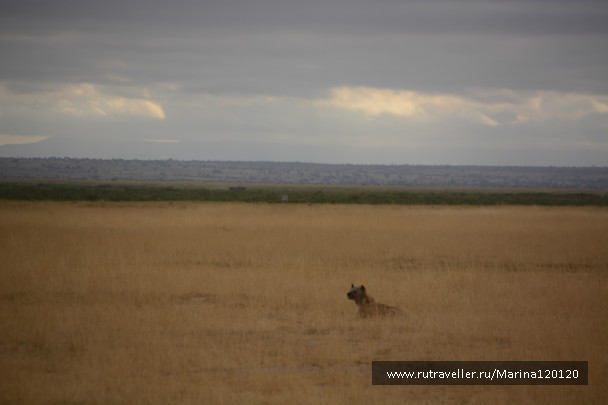 photo 542015