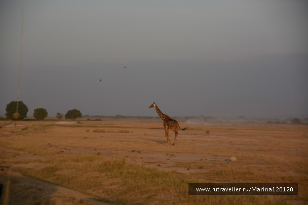 photo 542075