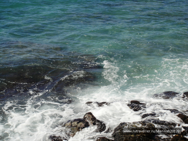 photo 553659