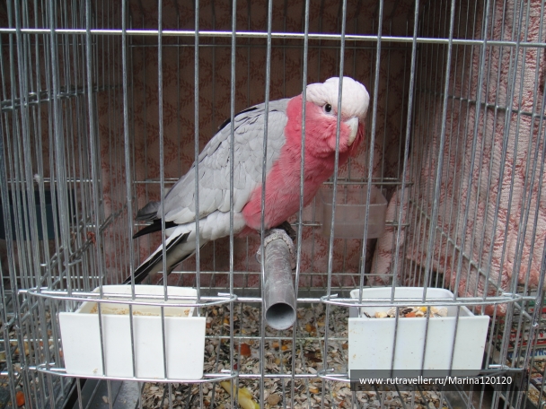photo 669023